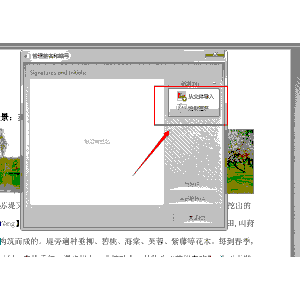 樱桃小丸子第一部