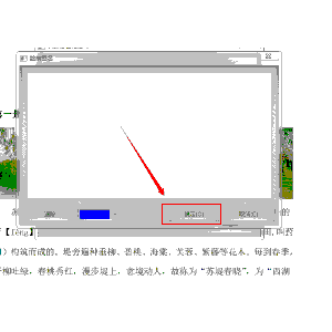 第二影院